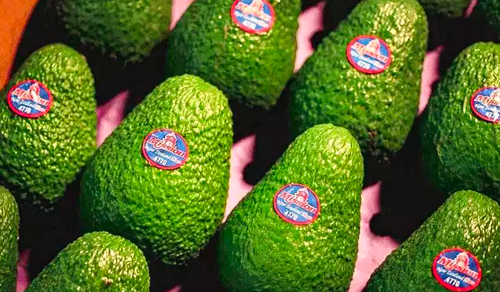 Avocado Packing Company